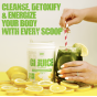 GI Juice Supergreens Blend 432 г - 1